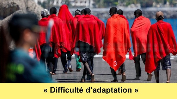 Des immigrés africains pris en charge après leur arrivée en Espagne par des bateaux Des immigrés africains pris en charge après leur arrivée en Espagne par des bateaux