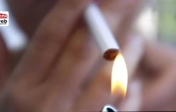Plus de la moitié des jeunes Sénégalais fument avant l’âge de 20 ans (enquête)