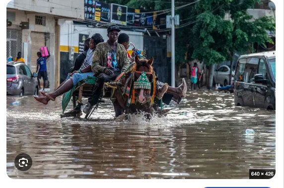 A Dakar, des sinistrés des inondations en mode pirogue sur la terre ferme (capture d'écran)