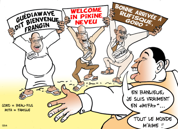 Article n°146 Article n°146