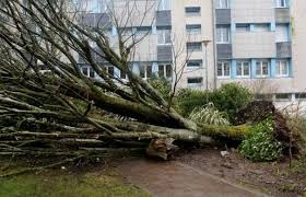 Tempête Zeus: deux morts et jusqu'à 600.000 foyers plongés dans le noir