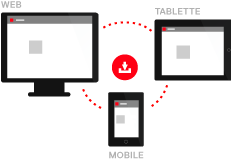 USA: le Congrès révoque un texte de protection de la vie privée sur internet
