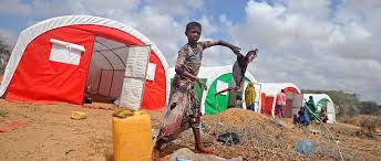 Famine en Afrique et au Yémen: risque d'un nombre de morts "massif"