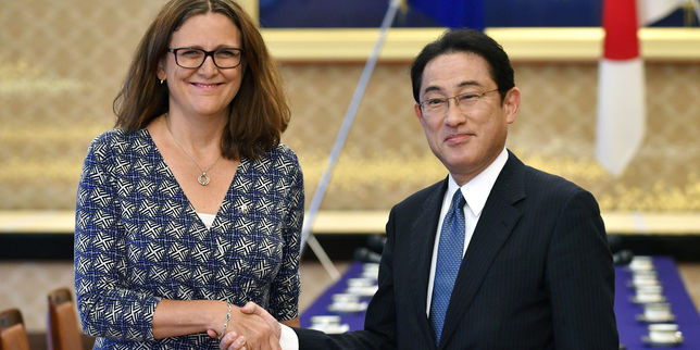 Japon et UE proches d'un accord de libre-échange