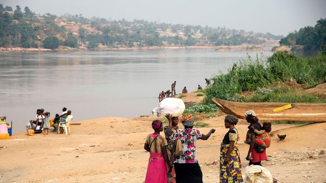 RD Congo: l'ONU dénonce plus de 250 "exécutions sauvages"