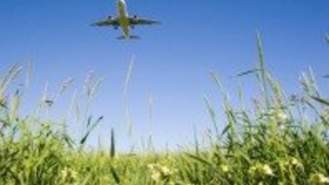 Des ONG mettent en garde contre les biocarburants dans l'aviation