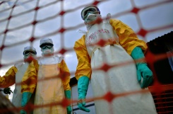 Deux vaccins expérimentaux prometteurs contre le virus Ebola