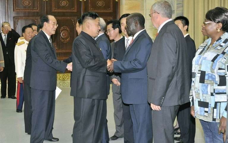 Le dernier carré des amis africains de la Corée du Nord