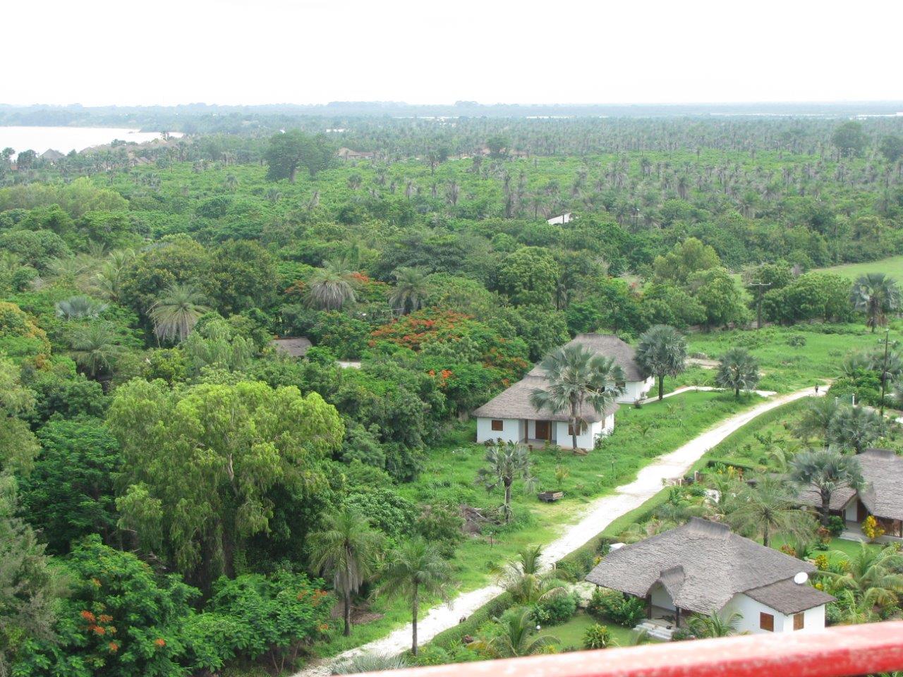 Le drame de Boffa nous ramène à la triste réalité : l’insécurité règne encore en Casamance