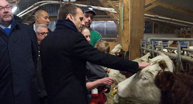 Au salon de l'Agriculture, la ferme France à l'aube de sa révolution