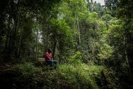 Ghana: inquiétudes environnementales autour d'un projet de mine de bauxite