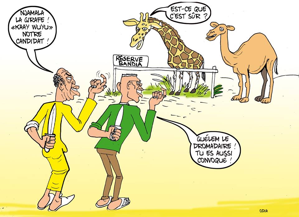 ODIA, l'édito du jour