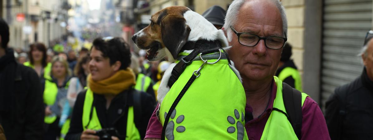 "Gilets jaunes" : 39 300 manifestants en France, en baisse par rapport au samedi précédent