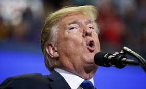 Trump veut mettre fin au droit du sol