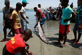 L'Angola ouvre une procédure pénale contre un ex-ministre au sujet du scandale des pots-de-vin dans le secteur de la pêche en Namibie