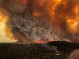 Le bilan des incendies monte à 28 morts en Australie