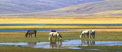 Le parc national commence à prendre forme (Le Quotidien du Peuple)