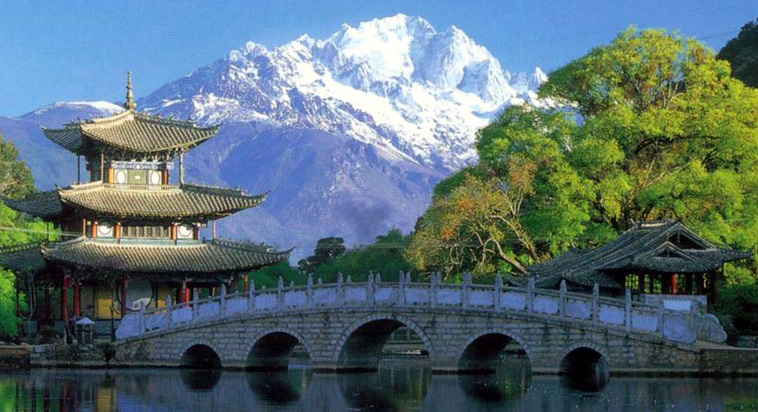 “Civilisation écologique” : la COP15 de la Convention sur la diversité biologique prévue à Kunming en 2021