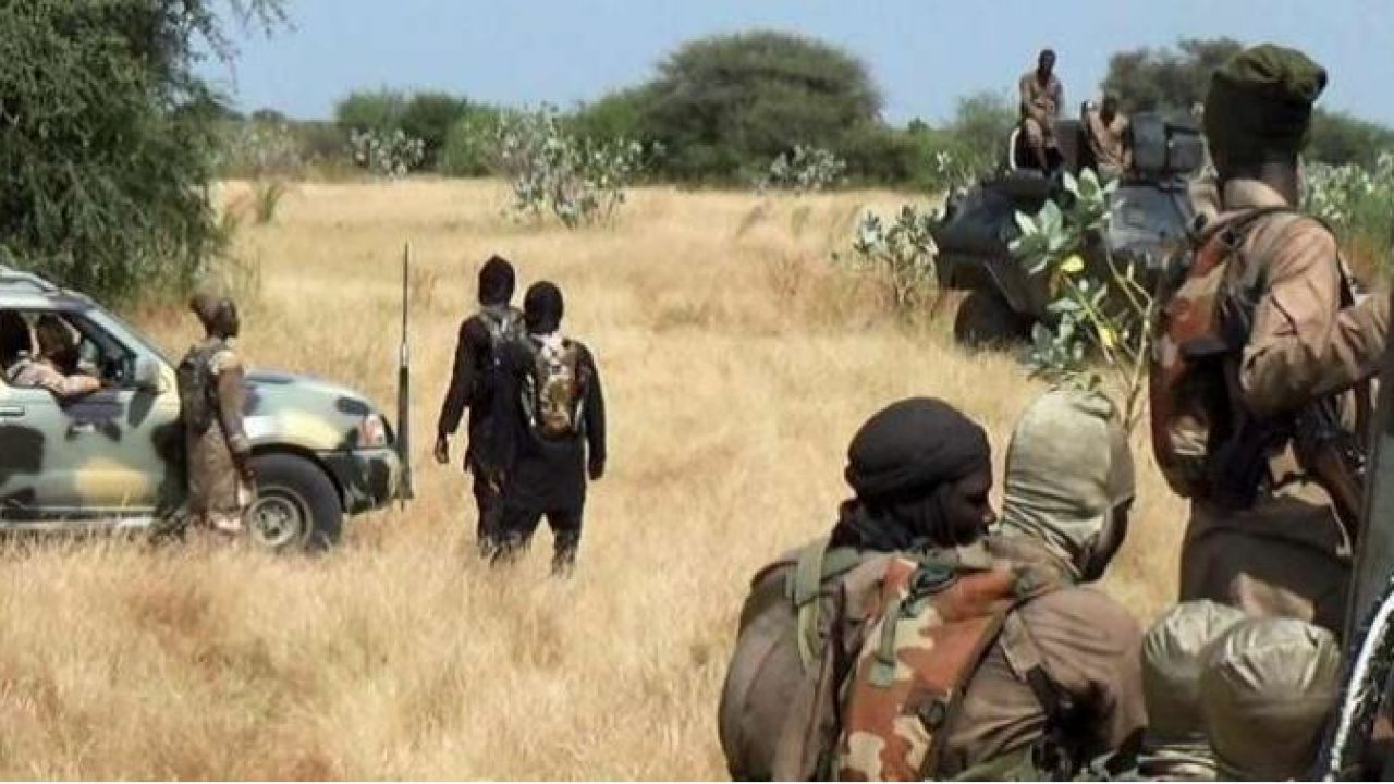 Somalie : au moins 61 terroristes d’al Shabab tués par l’armée