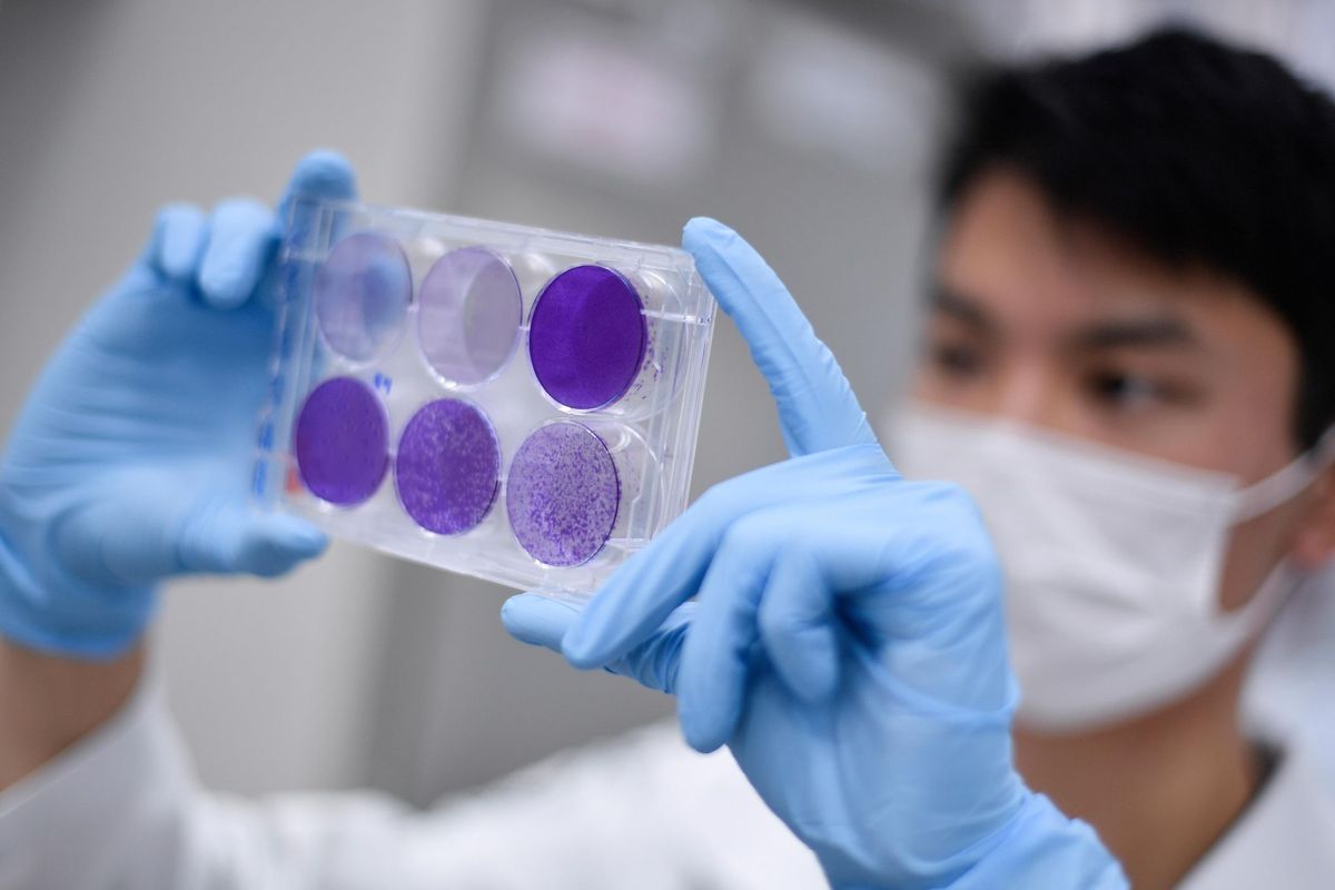 Coronavirus : le vaccin de Moderna confère au moins 3 mois d’immunité