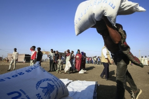 Conflit en Éthiopie: le Conseil de sécurité divisé