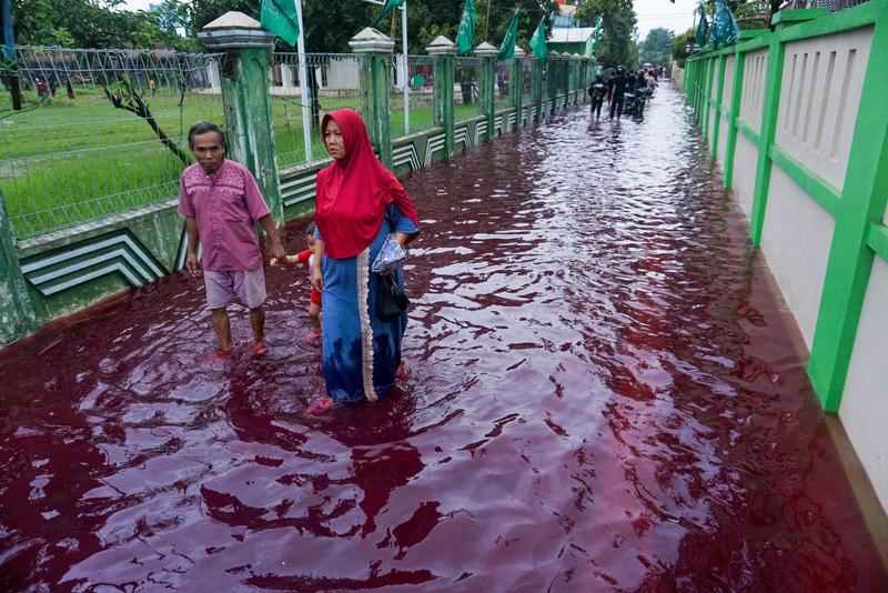 Indonésie : 44 morts dans des inondations sur l’île de Florès