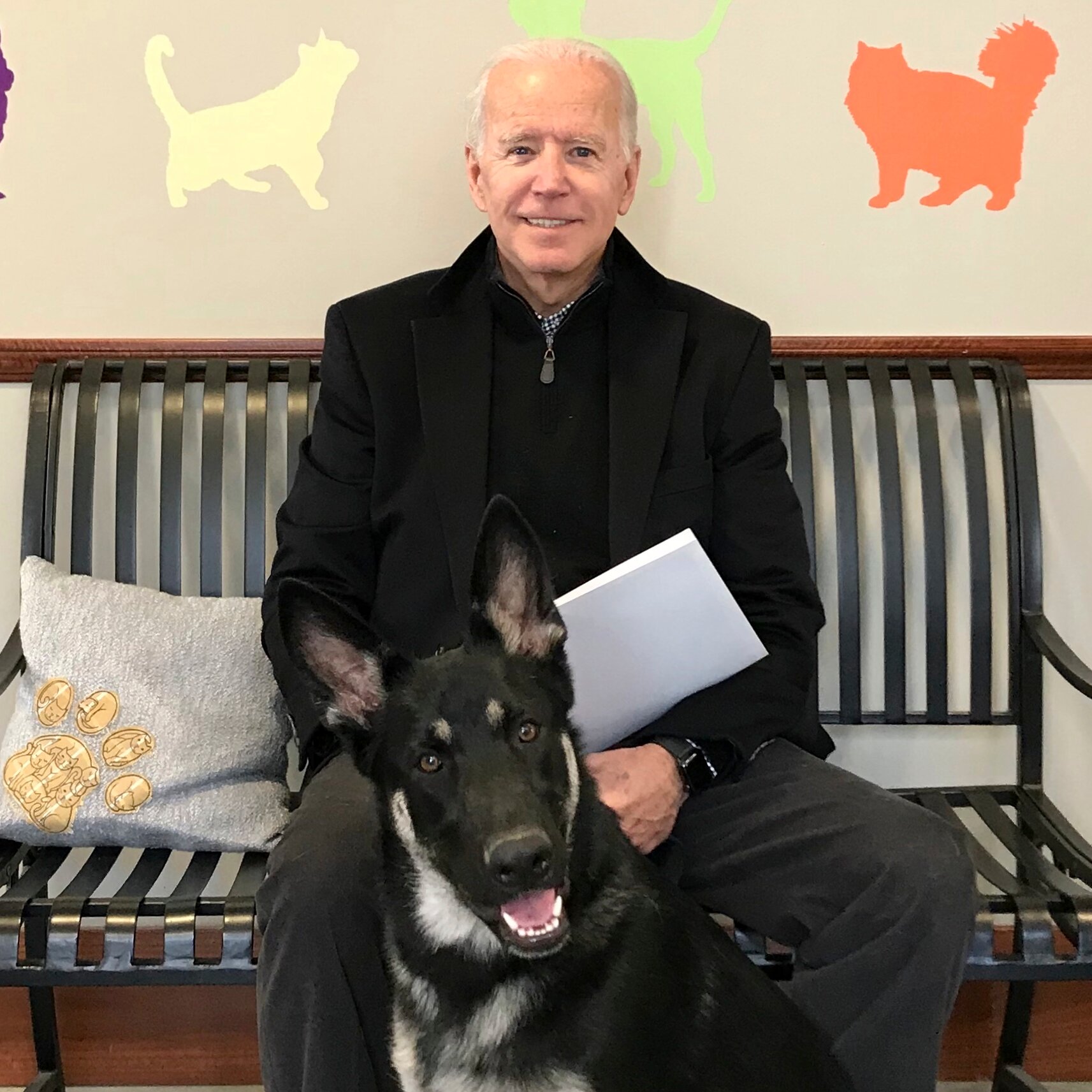 États-Unis : Retour à l’école pour Major, le chien turbulent des Biden