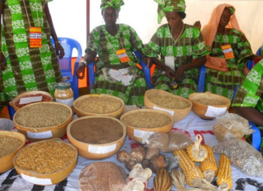 Image d'illustration