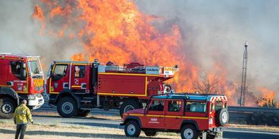 Canicule et incendie : Le Portugal touché à son tour par un important feu de forêt
