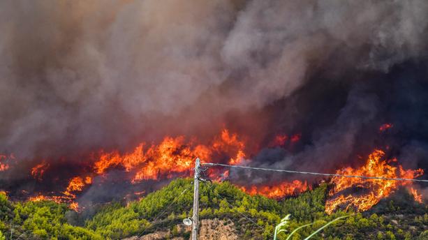 Incendies en Grèce : les pompiers combattent deux nouveaux feux de forêt