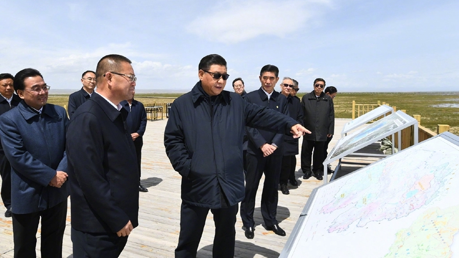 « La protection écologique verdit le plateau Qinghai-Tibet » (LQP)