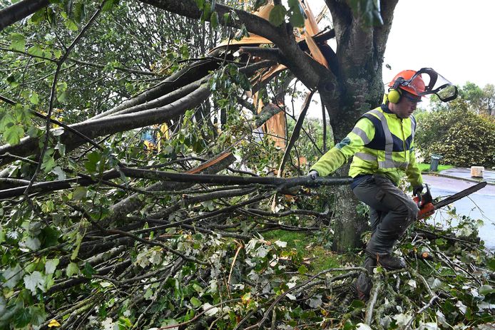Tempête Aurore : Quatre morts en Pologne, transports perturbés dans le nord de l’Europe