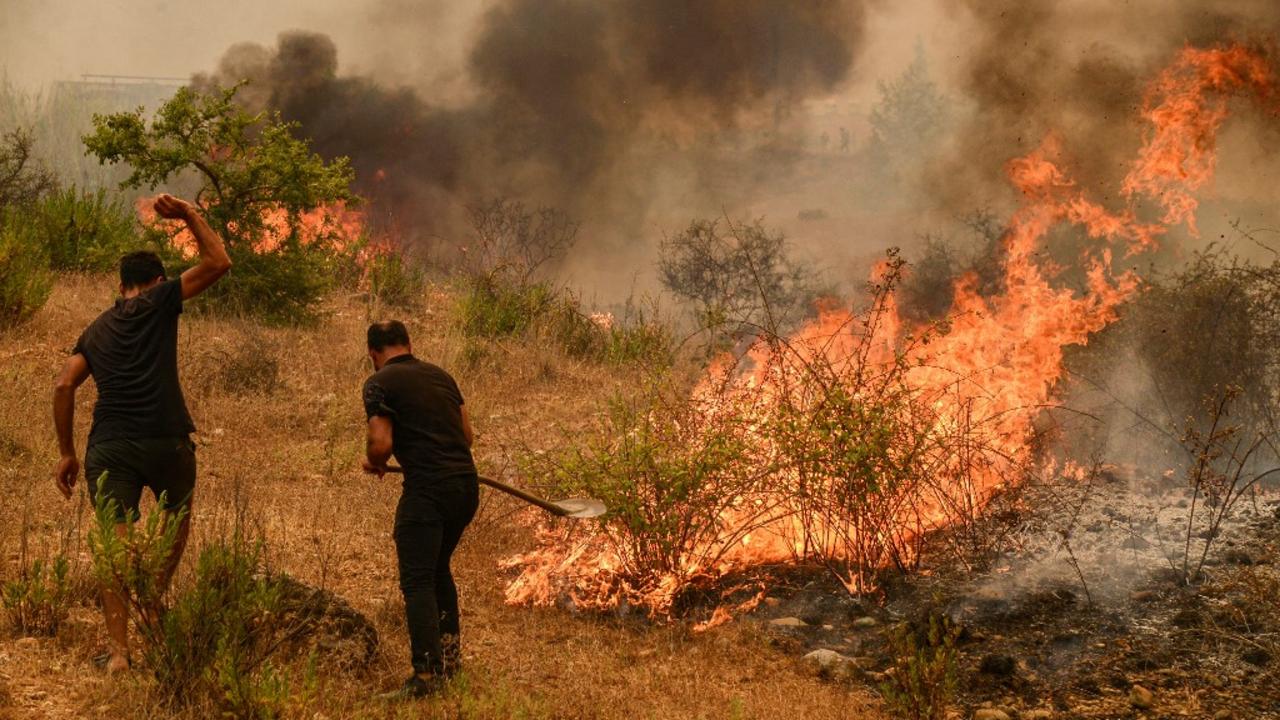 Algérie : le bilan des incendies dans plusieurs villes monte à 38 morts