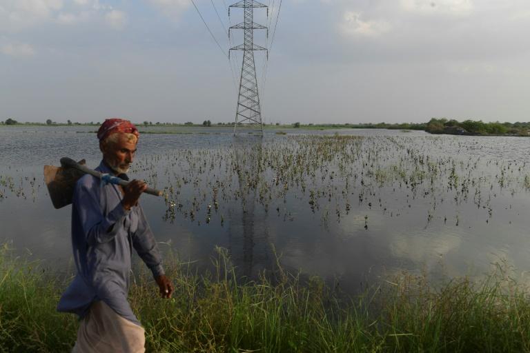 Inondations au Pakistan: les agriculteurs "revenus 50 ans en arrière"