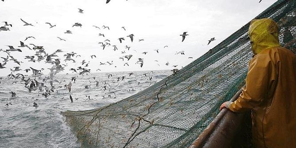 Pêche: l'UE ferme une partie de l'Atlantique au chalutage en eau profonde