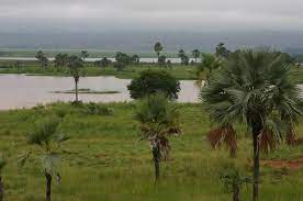 «Forum sur le systèmes alimentaires» - Société civile et religieux dénoncent un changement «cosmétique»