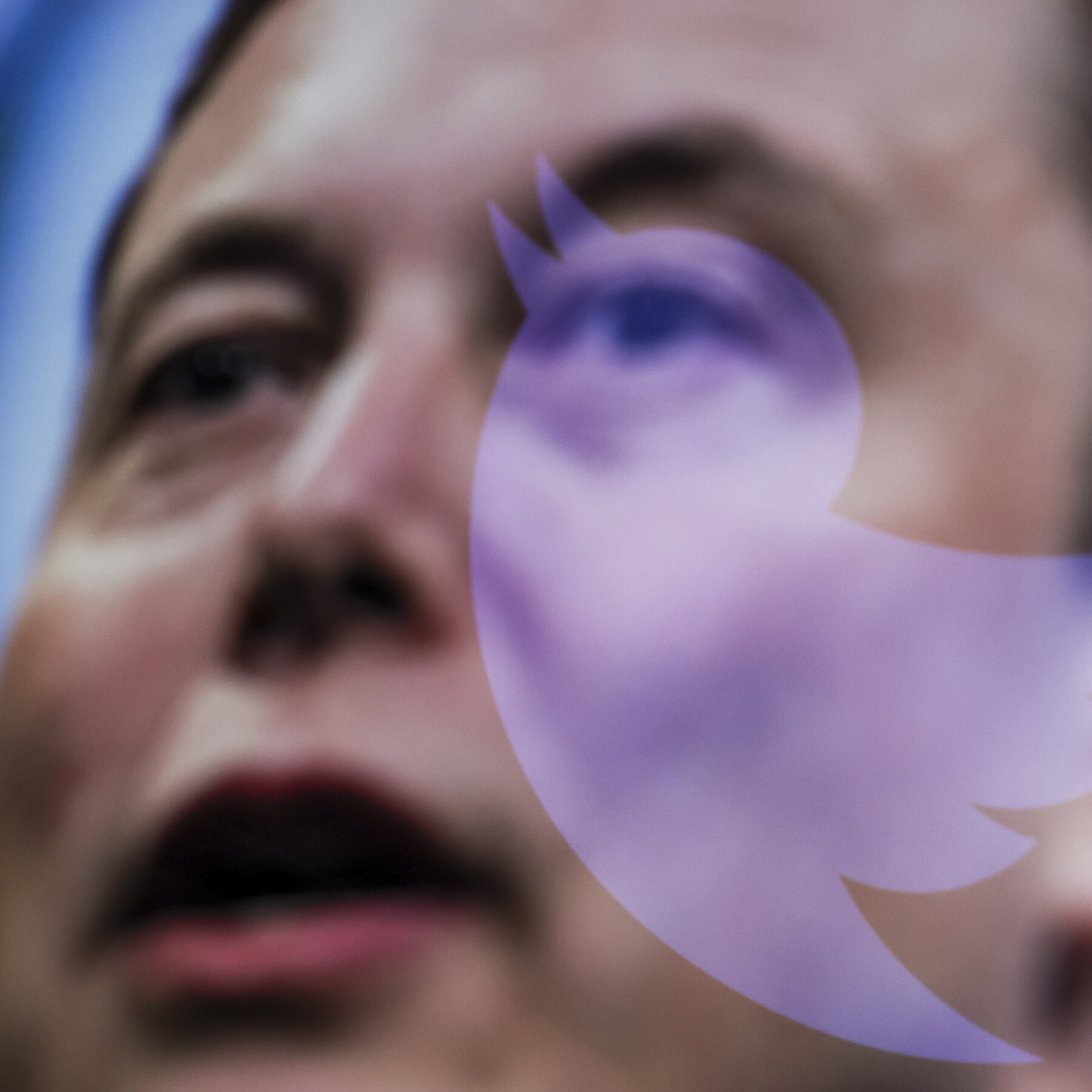 Twitter tombe entre les mains de Musk qui licencie ses dirigeants