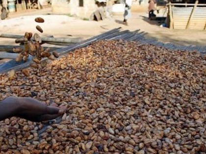 L'ultimatum de la Côte d'Ivoire et du Ghana aux multinationales du cacao