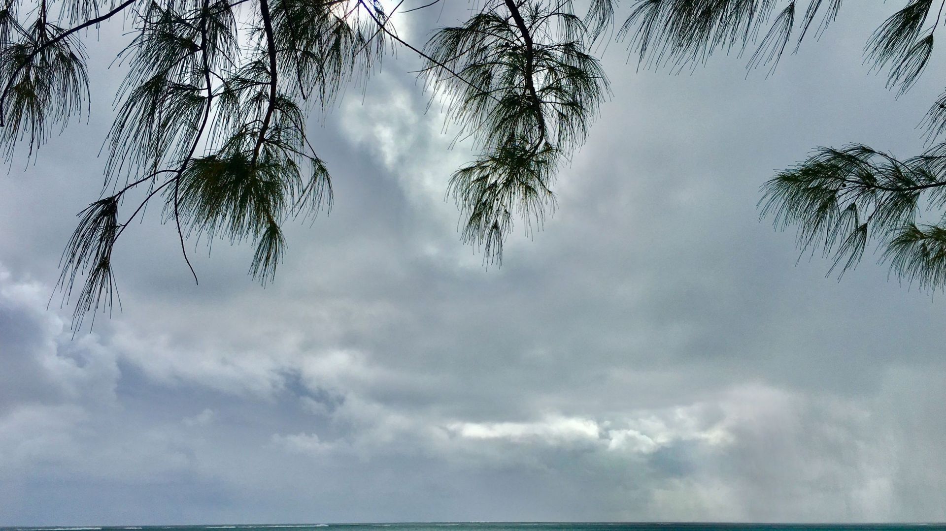 L'île Maurice balayée par les pluies à l'approche d'un cyclone prénommé Freddy