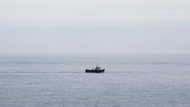 France - Une quarantaine de migrants repêchés dans la Manche après un naufrage