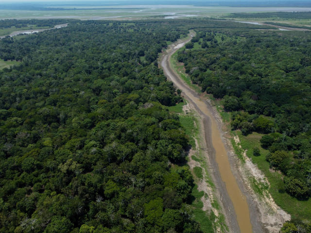 Équateur - Un immense réseau de cités perdues découvert en Amazonie