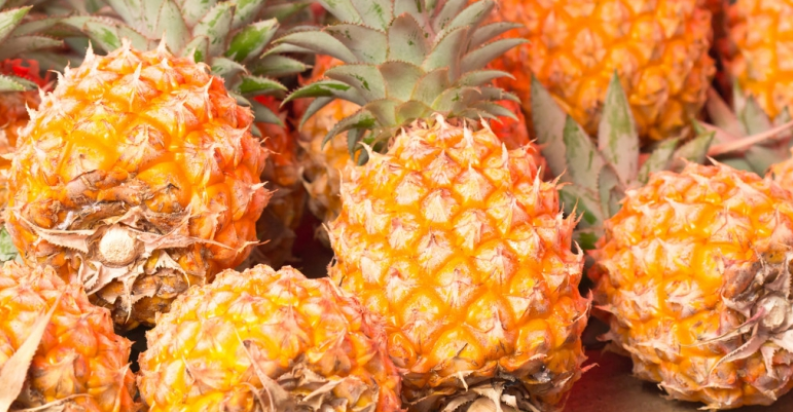 Côte d'Ivoire : le taux d'exportations d'ananas a chuté de 27% par rapport à la campagne précédente en 2023 (FAO)