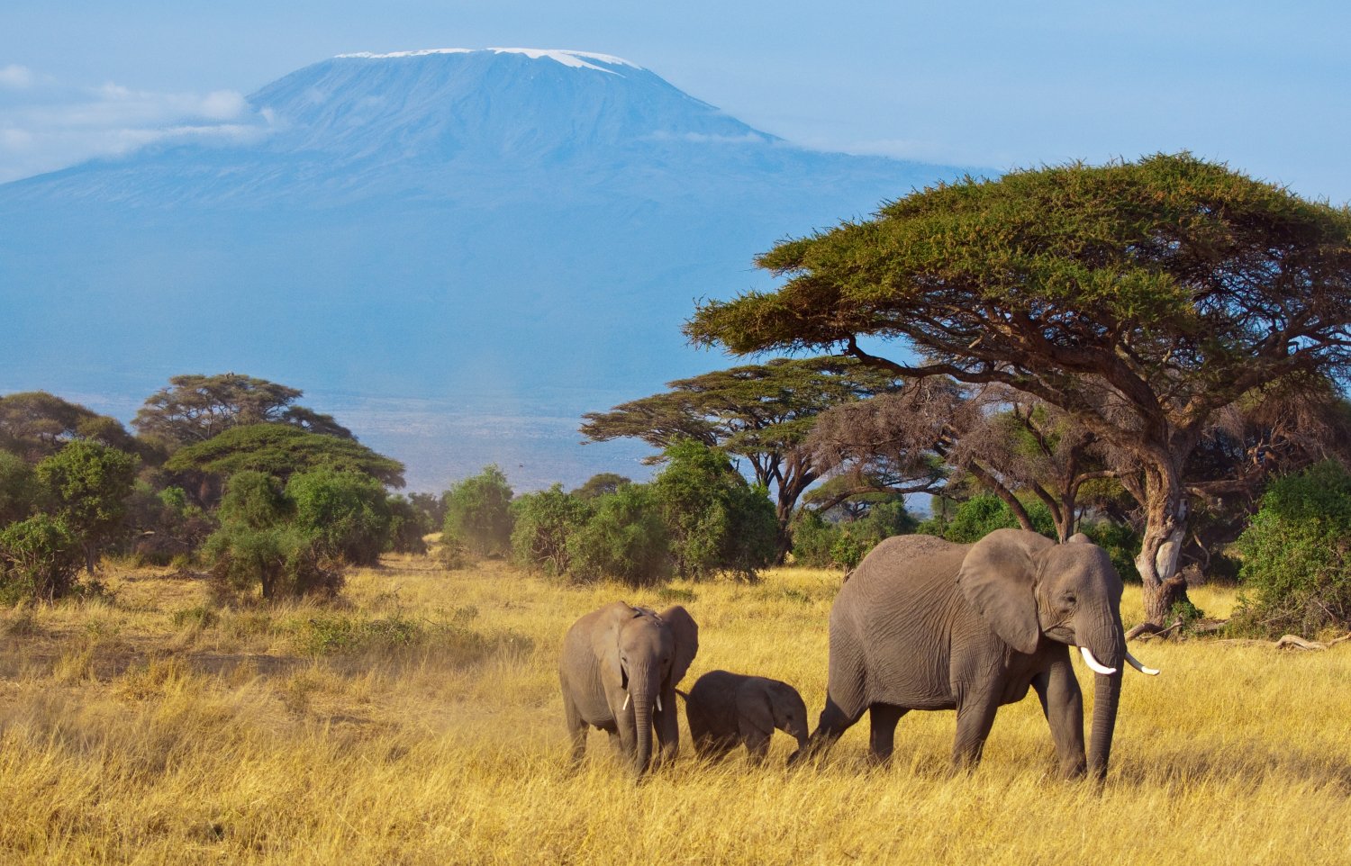 Le Kenya lance des initiatives pour attirer les touristes d'Afrique de l'Ouest