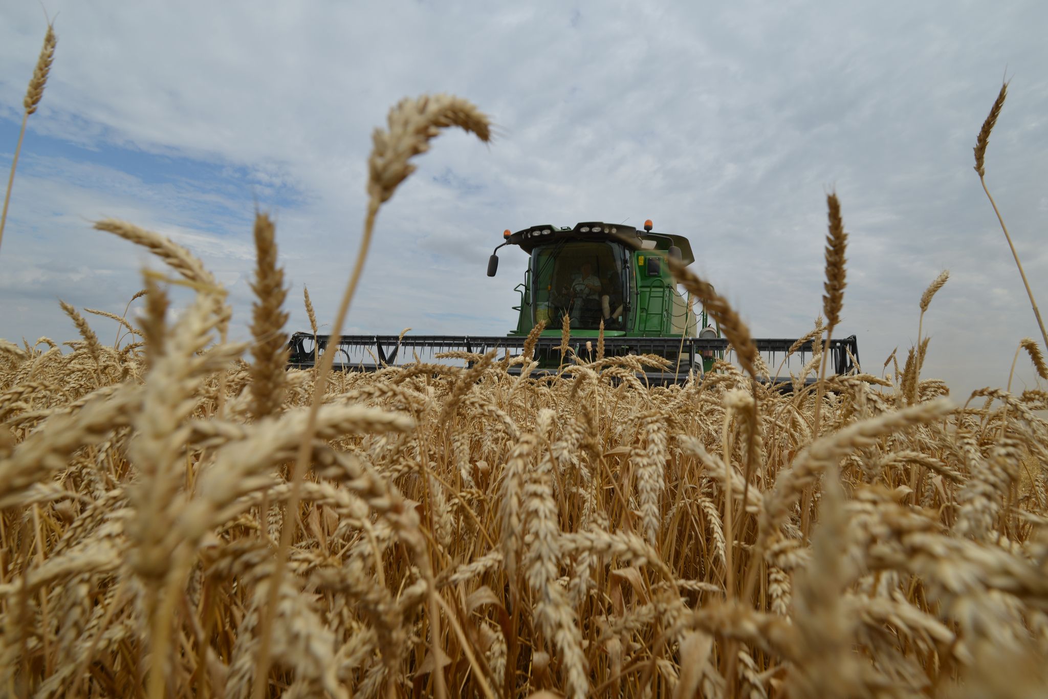 Le ministre russe de l'Agriculture annonce la livraison effective de 200 000 tonnes de céréales à 6 pays africains