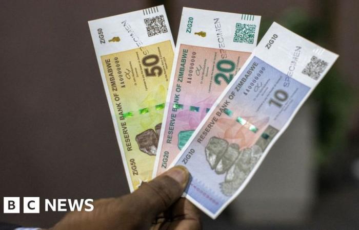 Le Zimbabwe dévoile une nouvelle monnaie adossée à l'or