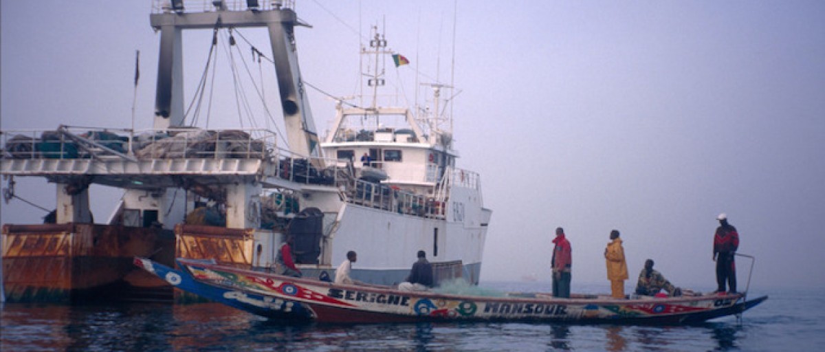 Licences de pêches : L’OFNAC n’a presque rien vu face á un ministre tout-puissant