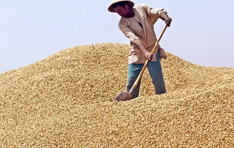 Kaolack : neuf opérateurs arrêtés pour non-respect du prix plancher fixé par l’Etat