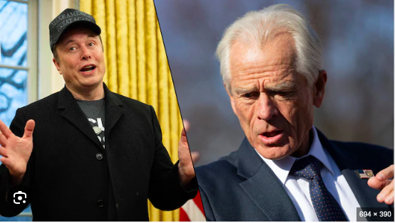 Elon Musk (g) et Peter Navarro