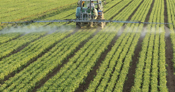 Le secteur agricole est considéré comme un moteur vital pour la croissance en Afrique subsaharienne