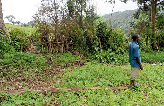 Secteur agricole africain - Les jeunes agripreneurs mis à l’honneur aux Assemblées annuelles 2025 de la BAD